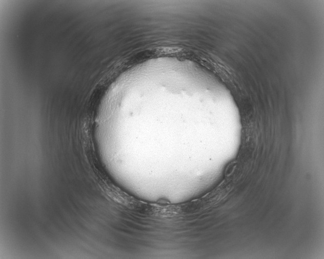 X0000067870373200605041813