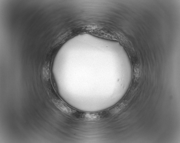 X0000067870376200605041813