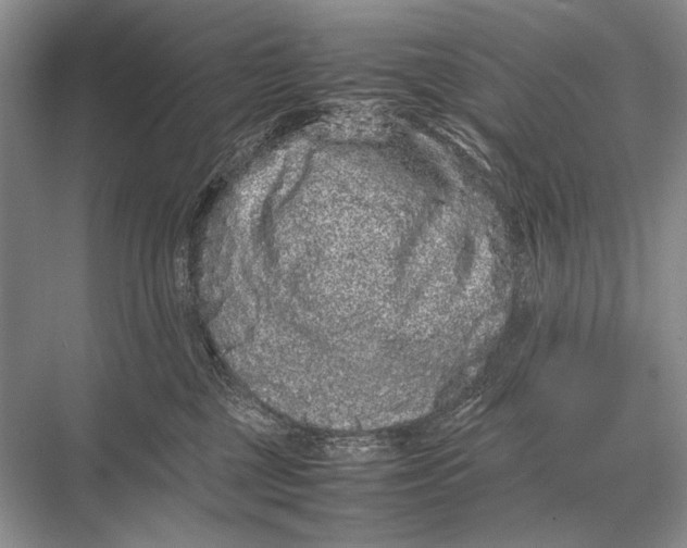 X0000067870377200605041813