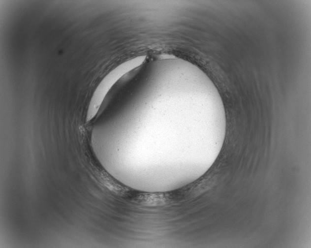 X0000067870384200605041813