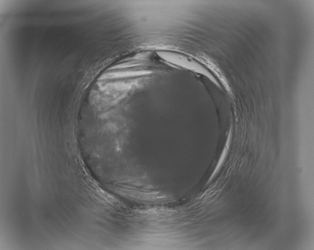 X0000067870385200605041813