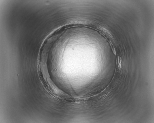 X0000067870388200605041813