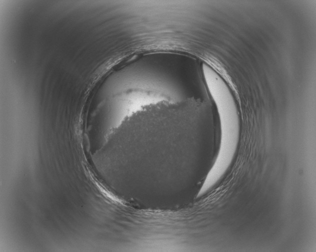 X0000067870389200605041813