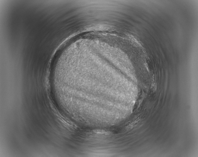 X0000067870392200605041813