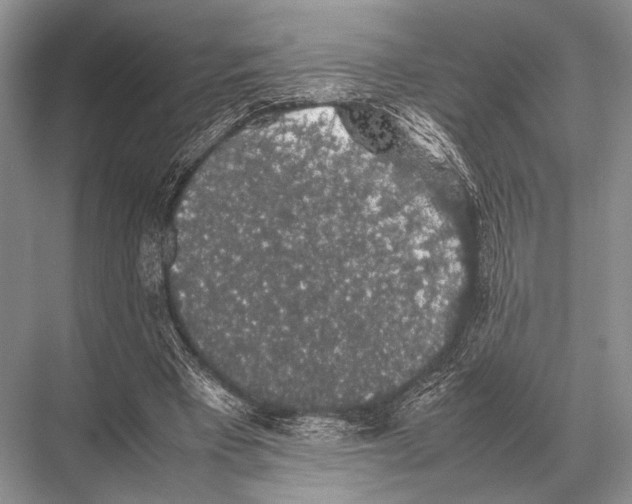 X0000067870393200605041813