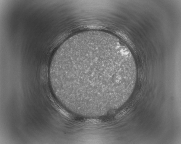 X0000067870397200605041812