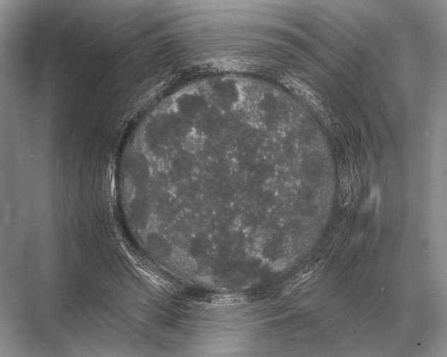 X0000067870398200605041812