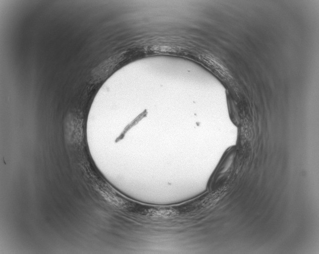 X0000067870401200605041812