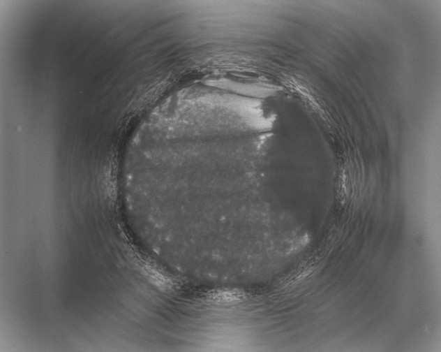 X0000067870402200605041812