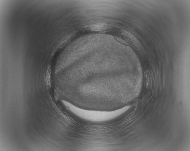 X0000067870404200605041812