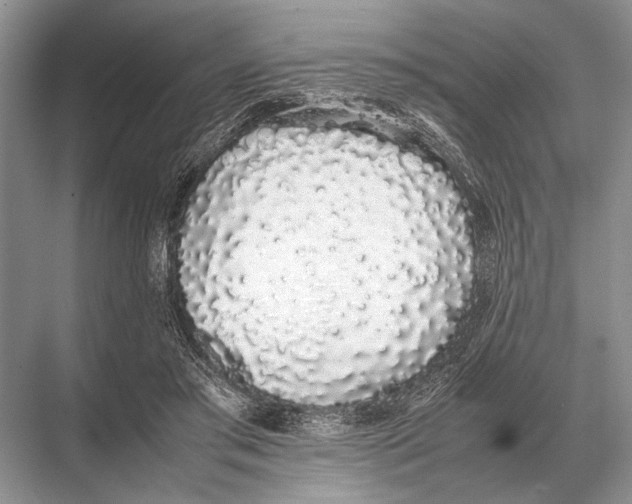 X0000067870405200605041812