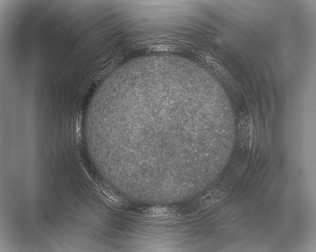 X0000067870406200605041812