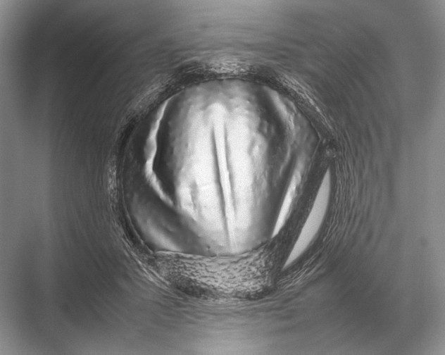 X0000067870407200605041812