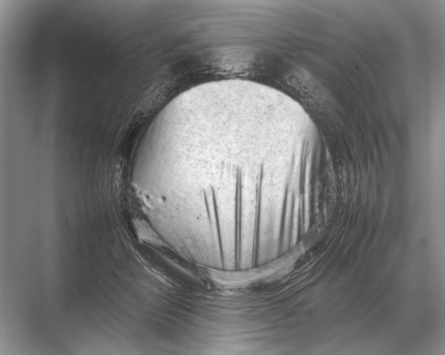 X0000067870412200605041812