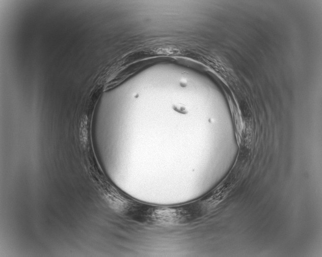 X0000067870413200605041812