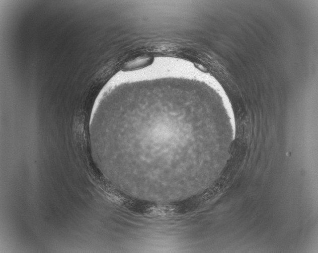 X0000067870415200605041812