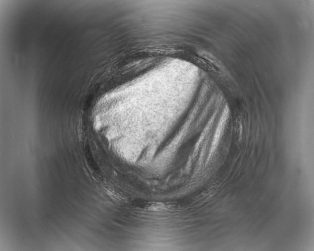 X0000067870416200605041812