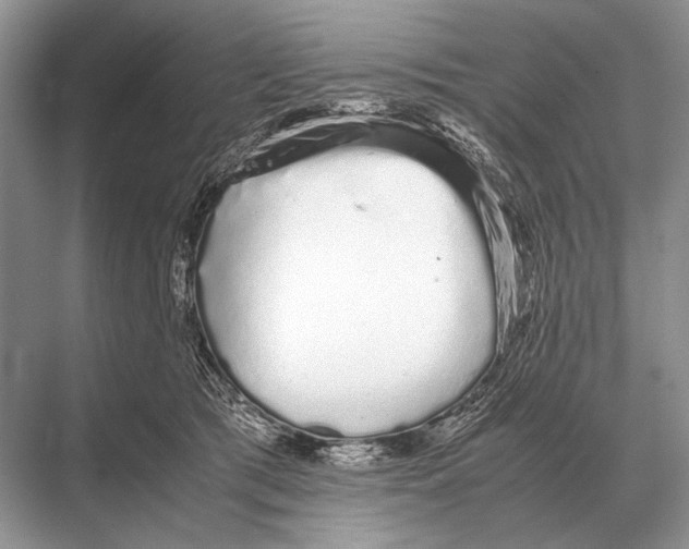 X0000067870417200605041812