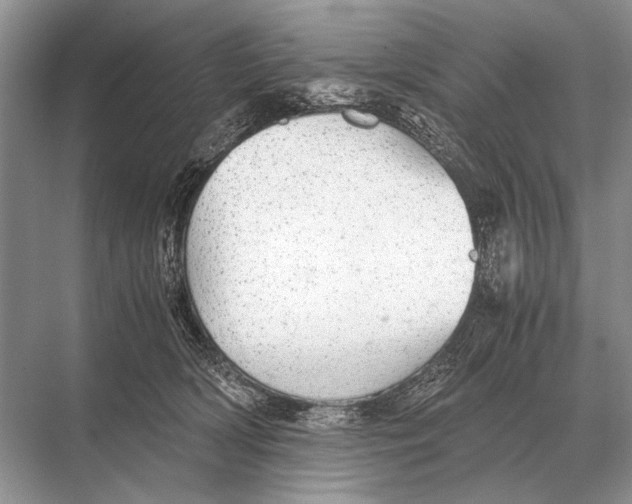 X0000067870418200605041812