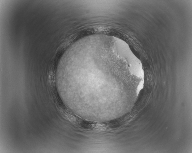 X0000067870419200605041812