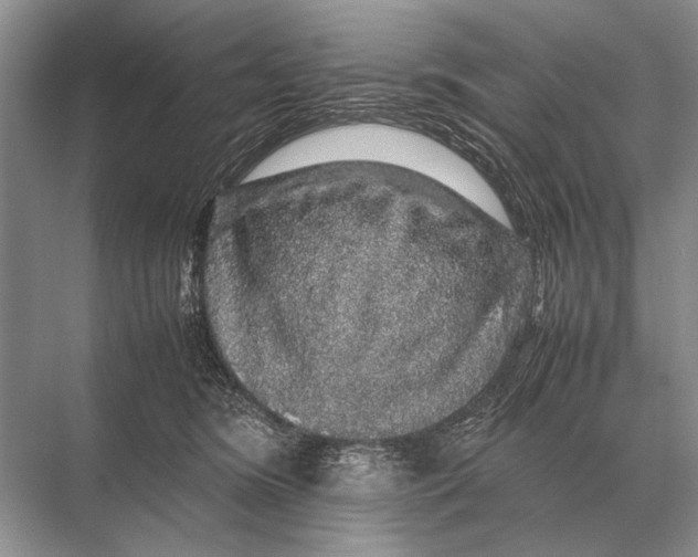 X0000067870420200605041812