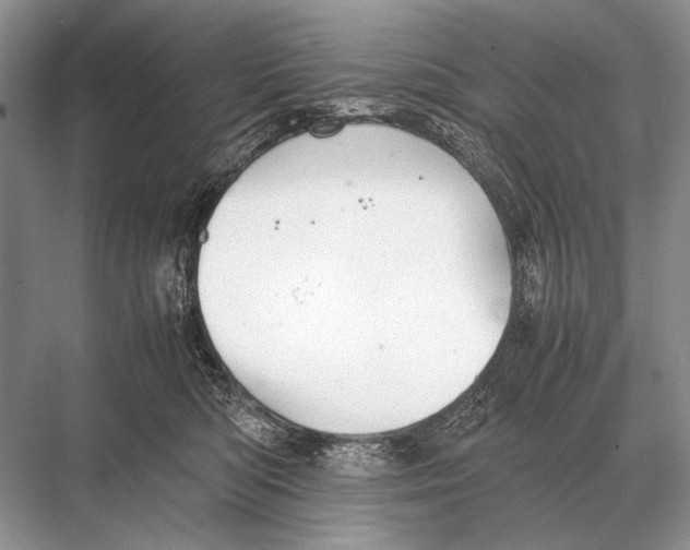 X0000067870422200605041812