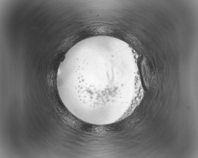 X0000067870423200605041812