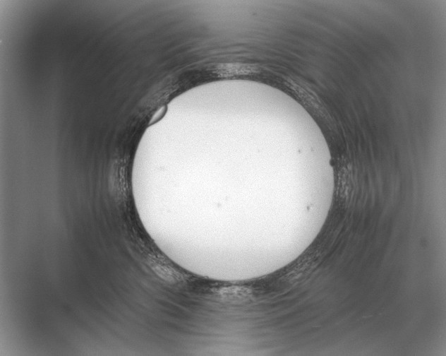 X0000067870426200605041812