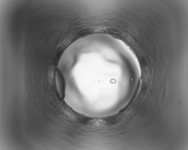 X0000067870427200605041812