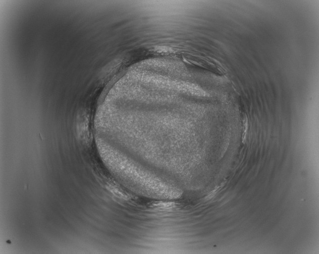 X0000067870428200605041812