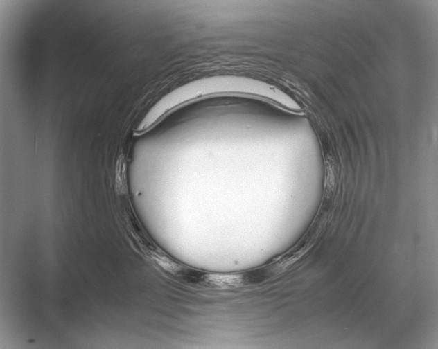 X0000067870429200605041812