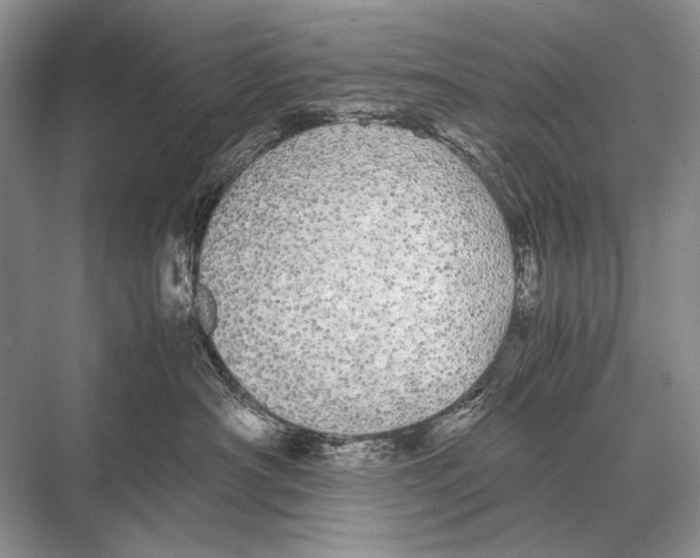 X0000067870430200605041812