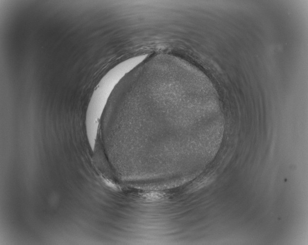 X0000067870432200605041812