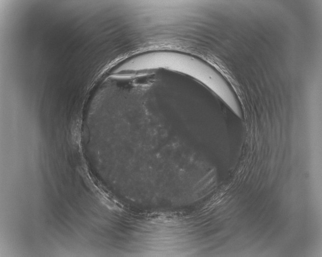 X0000067870434200605041811