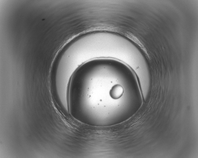 X0000067870436200605041811