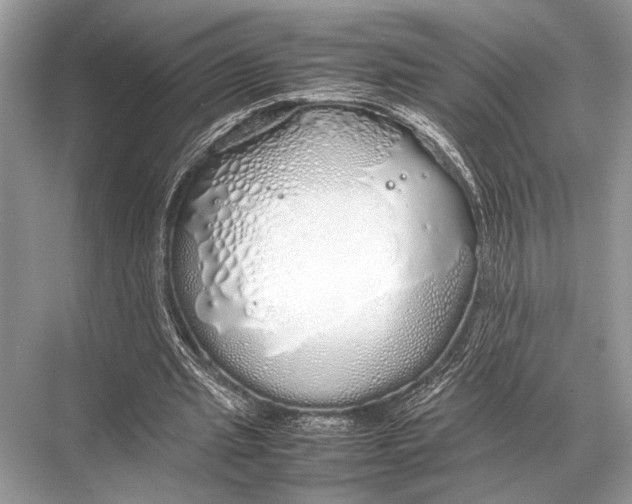 X0000067870437200605041811