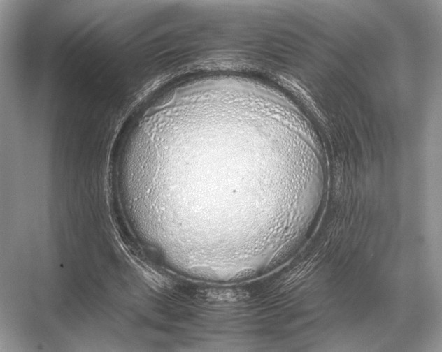 X0000067870439200605041811