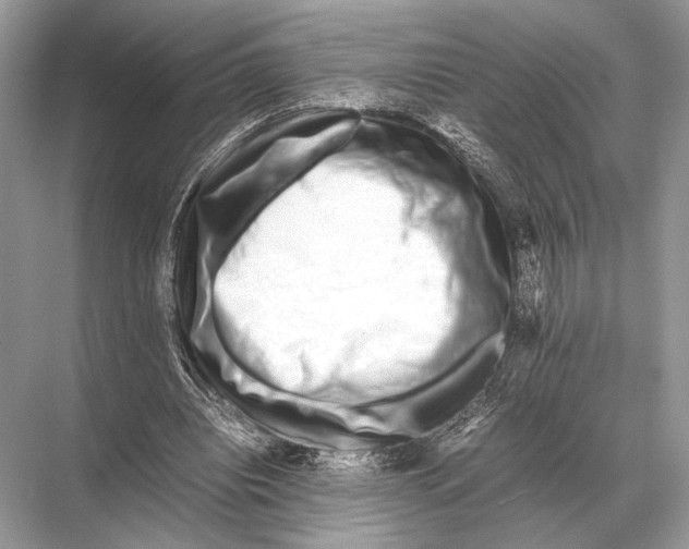 X0000067870440200605041811