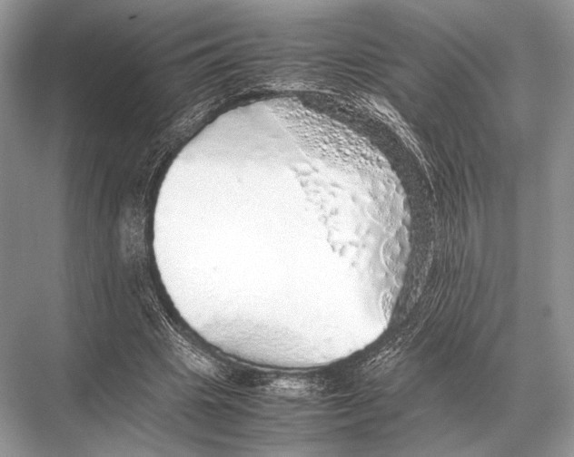 X0000067870441200605041811