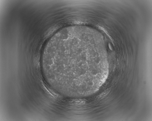 X0000067870443200605041811