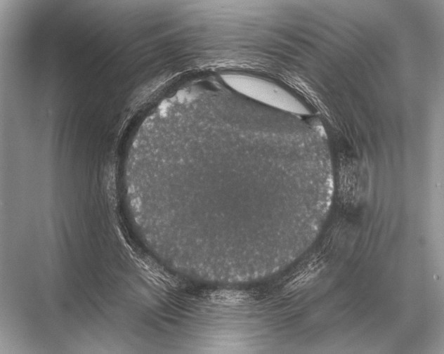 X0000067870444200605041811