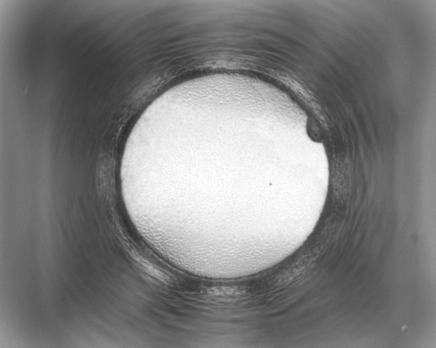 X0000067870445200605041811