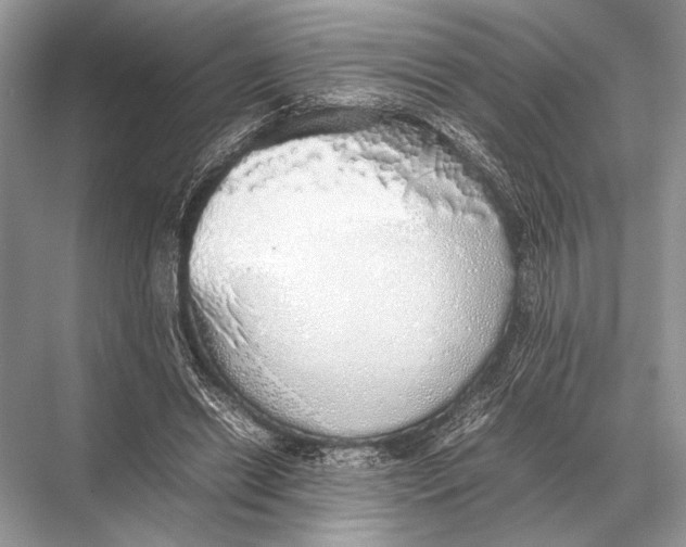 X0000067870446200605041811