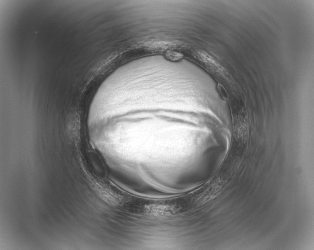 X0000067870448200605041811