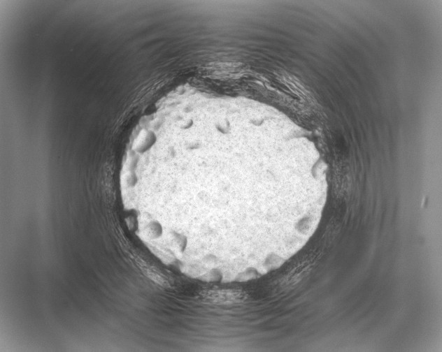 X0000067870449200605041811