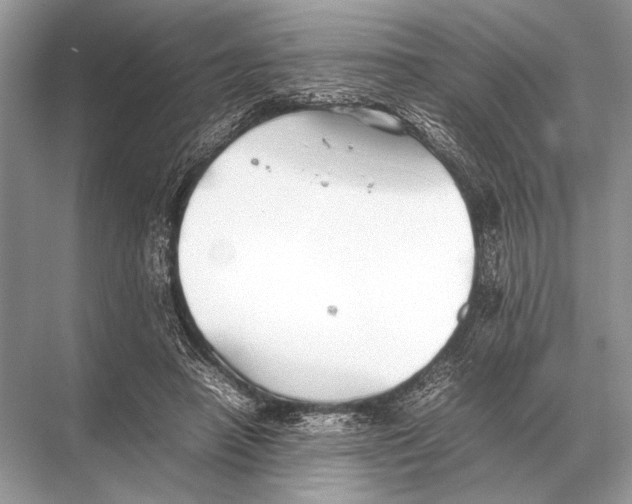 X0000067870450200605041811