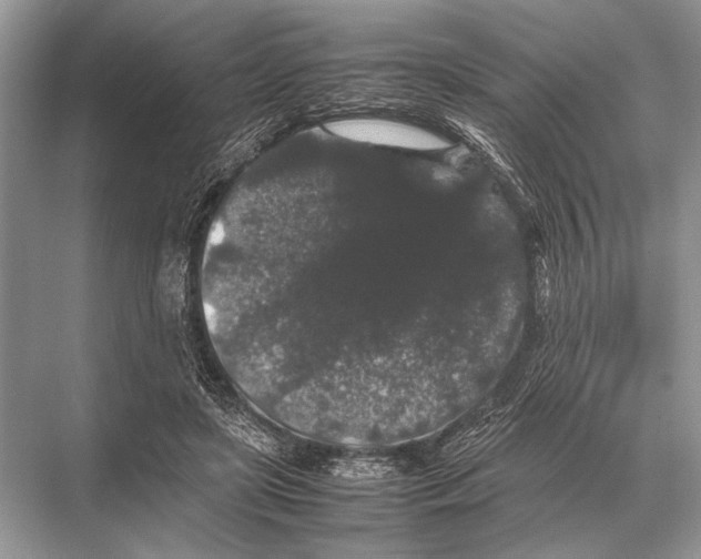 X0000067870451200605041811