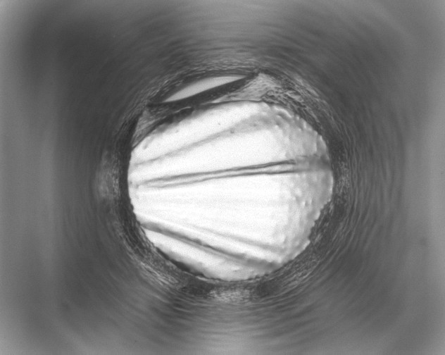 X0000067870452200605041811