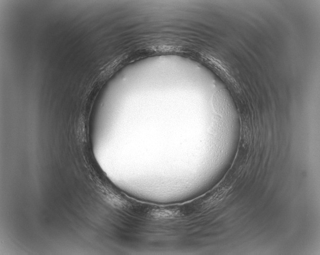 X0000067870453200605041811