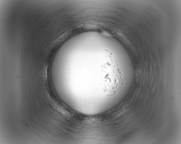 X0000067870454200605041811